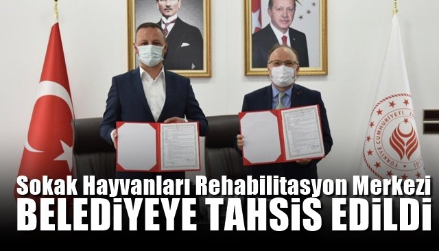 Sokak hayvanları rehabilitasyon merkezi belediyeye tahsis edildi