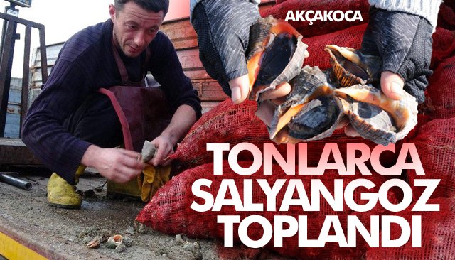 TONLARCA SALYANGOZ TOPLANDI