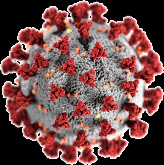 Zonguldak’ta Koronavirüs vaka sayıları… 27 Haziran… İKİ İLÇEDE VAKA YOK - 2