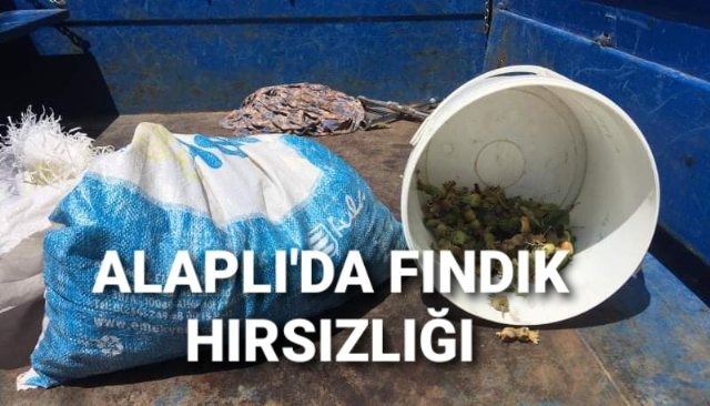 ALAPLI´DA FINDIK HIRSIZLIĞI