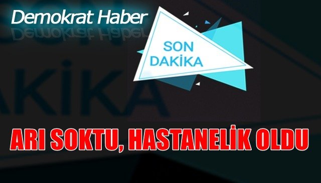 ARI SOKTU, HASTANELİK OLDU