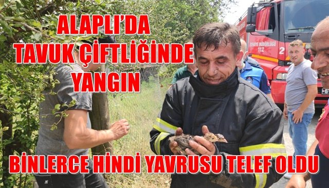 BİNLERCE HİNDİ YAVRUSU TELEF OLDU