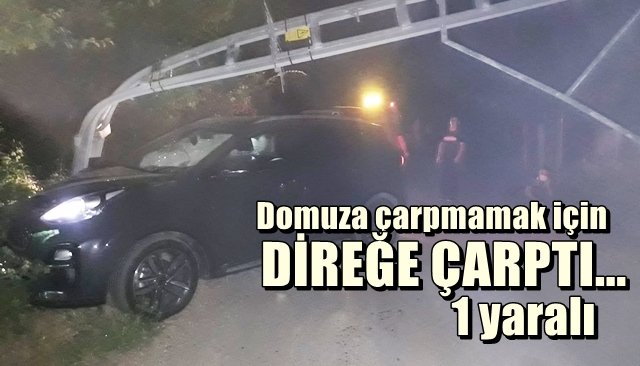 Domuza çarpmamak için direğe çarptı: 1 yaralı