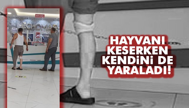 HAYVANI KESERKEN KENDİNİ DE YARALADI!