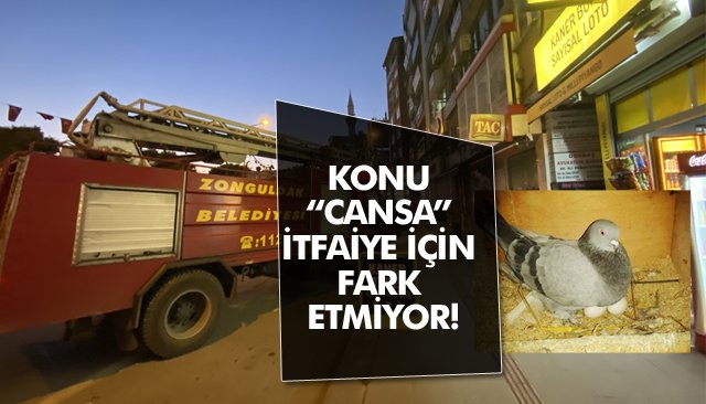 KONU “CANSA” İTFAİYE İÇİN FARK ETMİYOR!