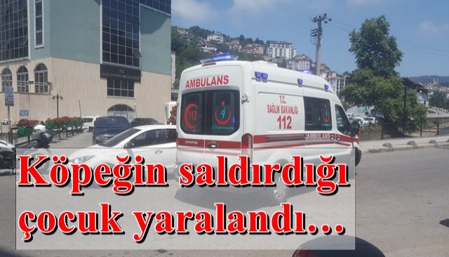 Köpeğin saldırısına uğrayan çocuk yaralandı…