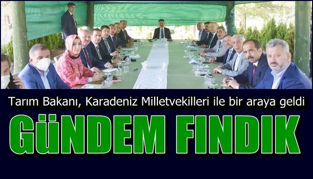 Tarım Bakanı, Karadeniz Milletvekilleri ile bir araya geldi... GÜNDEM: FINDIK!