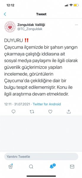 AĞACI YAKLAMAYA ÇALIŞIRKEN GÖRÜNTÜLENMİŞTİ - 2