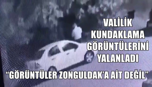 AĞACI YAKLAMAYA ÇALIŞIRKEN GÖRÜNTÜLENMİŞTİ