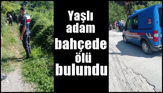 Yaşlı adam bahçede ölü bulundu