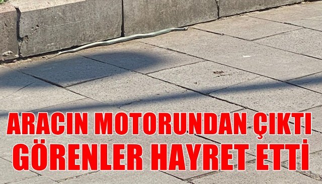 ARACIN MOTORUNDAN ÇIKTI