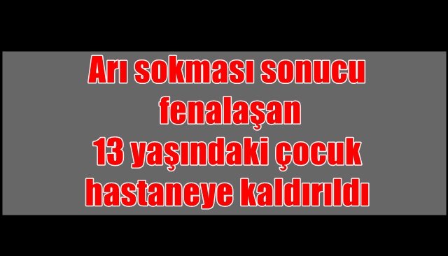 Arı sokması sonucu fenalaşan 13 yaşındaki çocuk hastaneye kaldırıldı