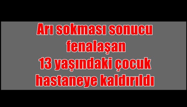 Arı sokması sonucu fenalaşan 13 yaşındaki çocuk hastaneye kaldırıldı