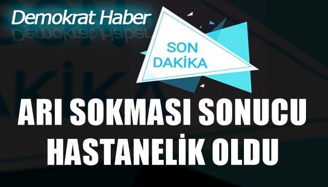 ARI SOKMASI SONUCU HASTANELİK OLDU