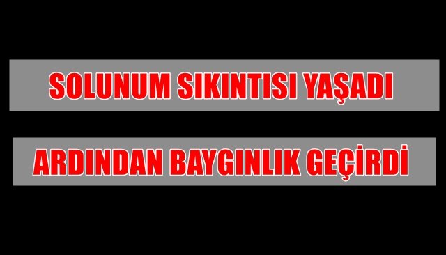 Arı sokması sonucu hastanelik oldu