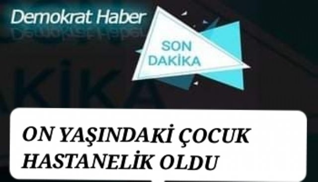 ARI SOKMASI SONUCU ON YAŞINDAKİ ÇOCUK HASTANELİK OLDU 