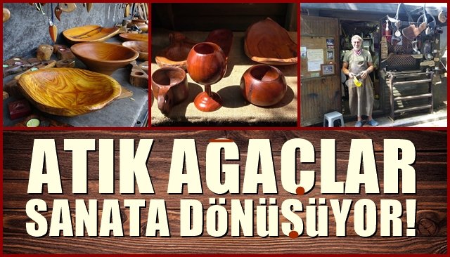 Atık ağaçlar sanata dönüşüyor