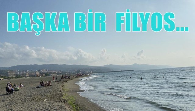 BAŞKA BİR  FİLYOS...