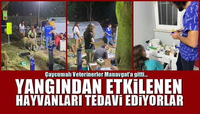 Çaycumalı Veterinerler Manavgat’a gitti… HAYVANLARI TEDAVİ EDECEKLER