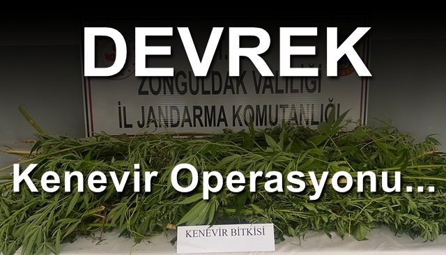 DEVREK’TE KENEVİR OPERASYONU