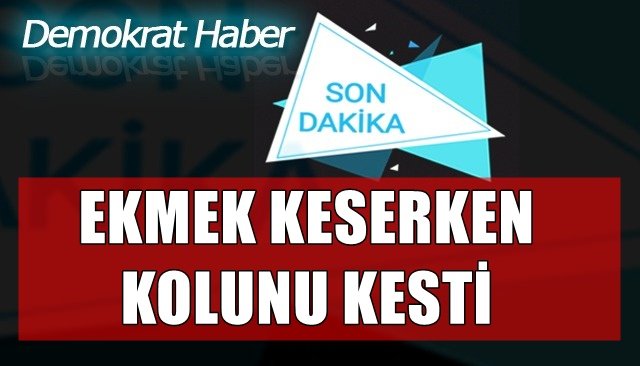 EKMEK KESERKEN KOLUNU KESTİ