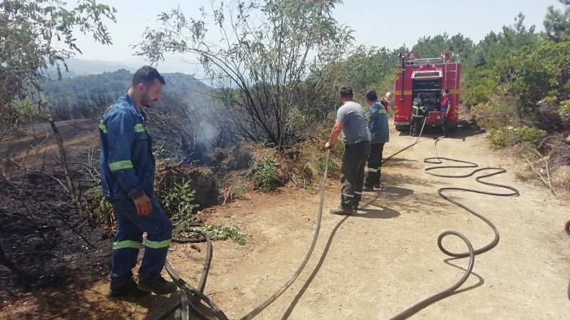 Ereğli’de orman yangını…  1 DÖNÜM ALAN YANDI! - 7