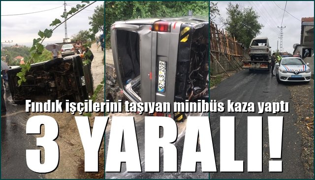 Fındık işçilerini taşıyan minibüs kaza yaptı… 3 YARALI!