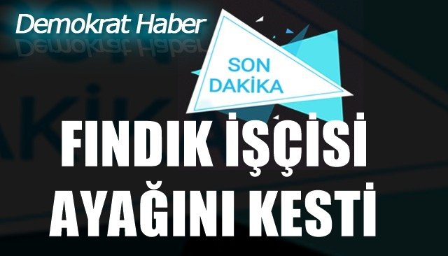 FINDIK İŞÇİSİ AYAĞINI KESTİ