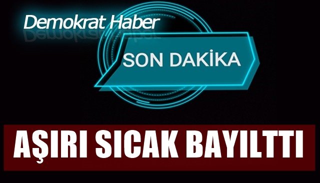 Fındık işçisi kadın aşırı sıcaktan dolayı baygınlık geçirdi.