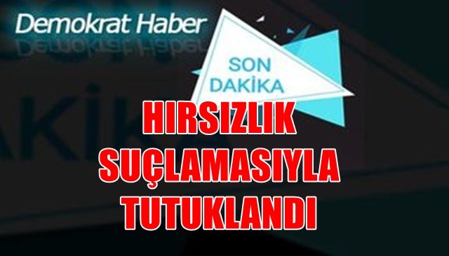 HIRSIZLIK SUÇLAMASIYLA TUTUKLANDI