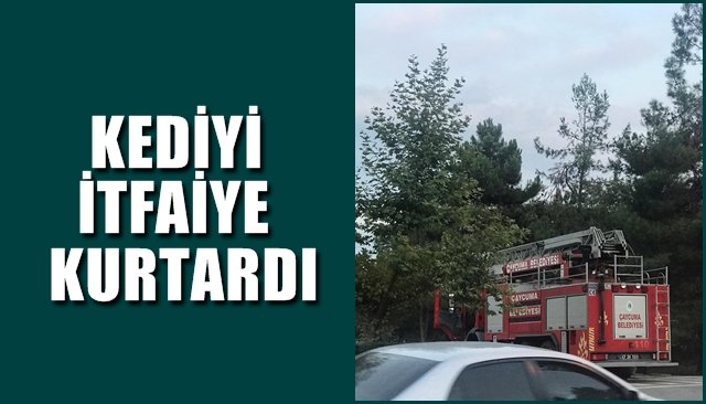 Kediyi itfaiye kurtardı…