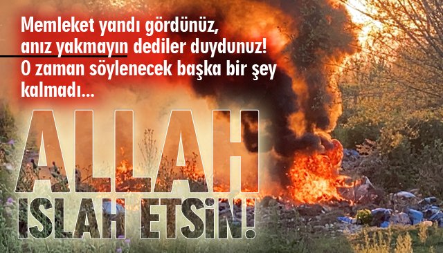 KOCA ORMANI, KÖR CEHALETLERİNE KURBAN EDECEKLERDİ!