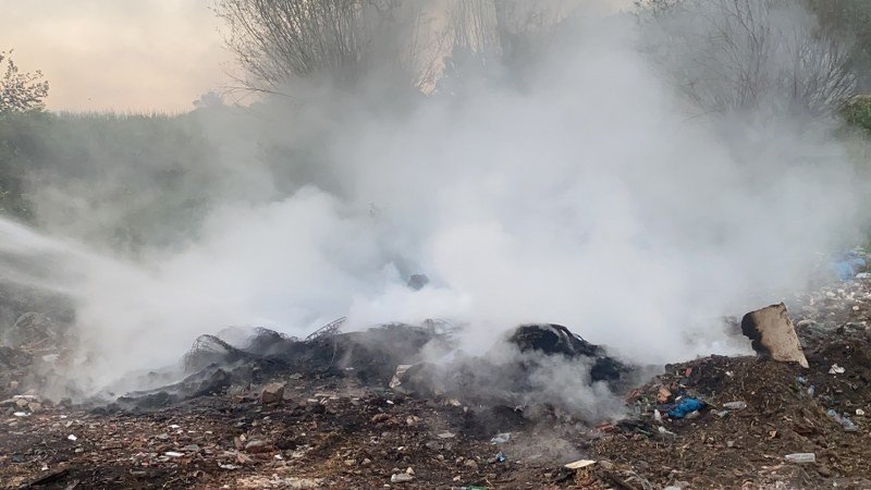 KOCA ORMANI, KÖR CEHALETLERİNE KURBAN EDECEKLERDİ! - 3
