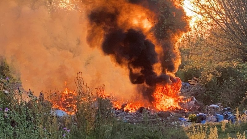 KOCA ORMANI, KÖR CEHALETLERİNE KURBAN EDECEKLERDİ! - 4