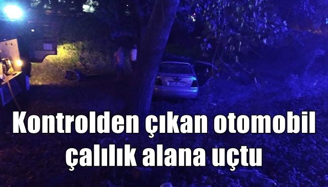 Kontrolden çıkan otomobil çalılık alana uçtu