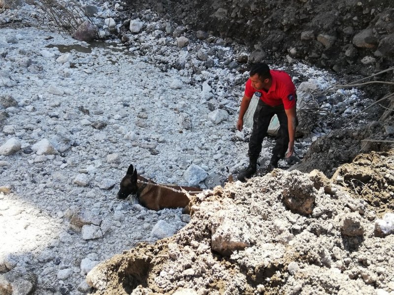 KÖPEKLER, 8 KİŞİNİN CANSIZ BEDENİNE ULAŞTI  - 3