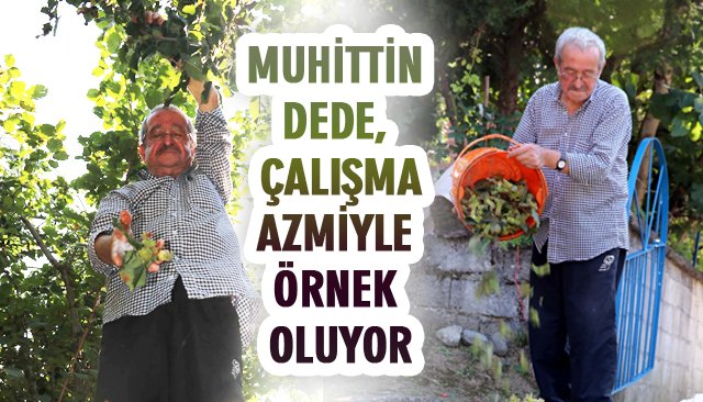 MUHİTTİN DEDE, ÇALIŞMA AZMİYLE ÖRNEK OLUYOR