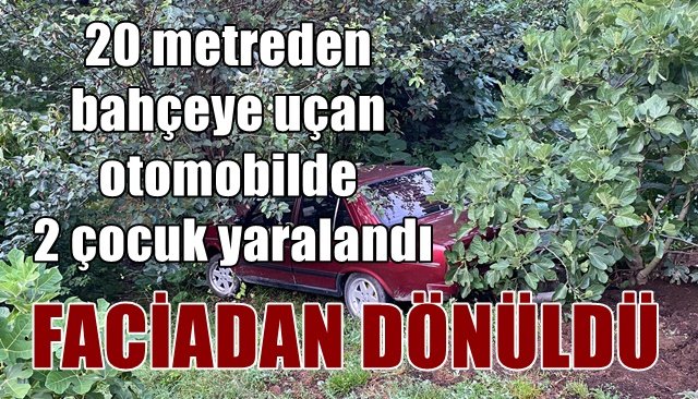 Park halindeki otomobilin freni boşaldı