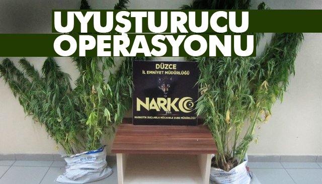 UYUŞTURUCU OPERASYONU