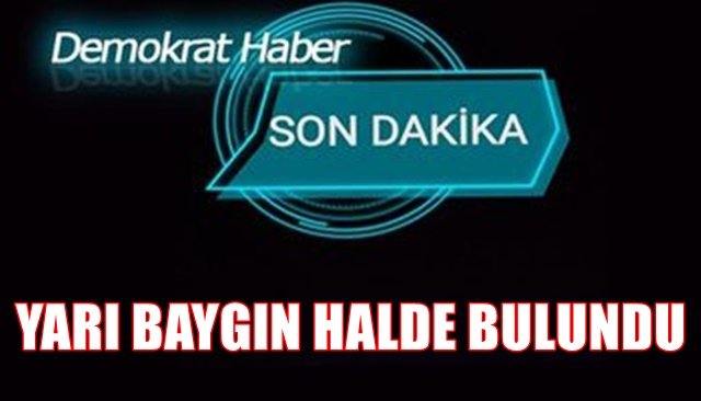 YARI BAYGIN HALDE BULUNDU