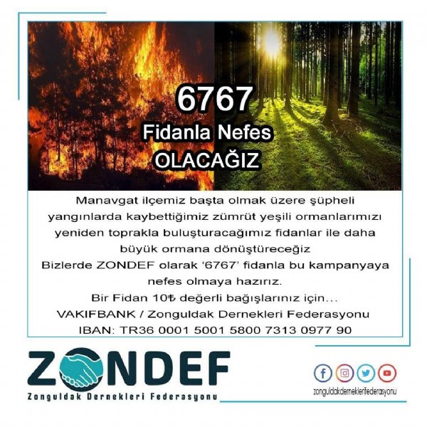 ZONDEF´TEN FİDAN KAMPANYASI - 1