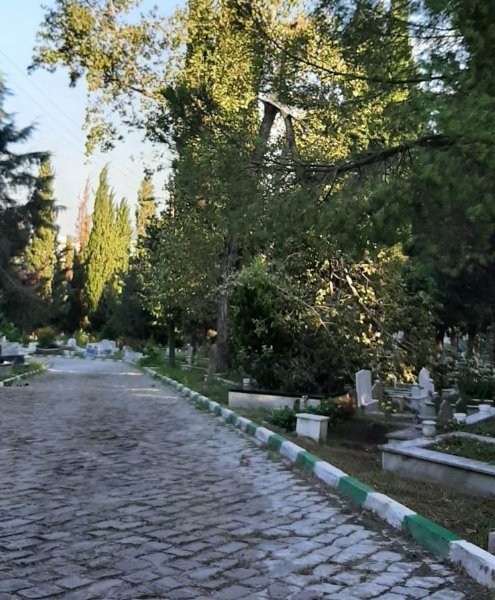AĞAÇLAR DEVRİLDİ; BELEDİYE TEYAKKUZDA! - 3