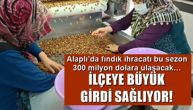 Alaplı’da fındık ihracatı bu sezon 300 milyon dolara ulaşacak…