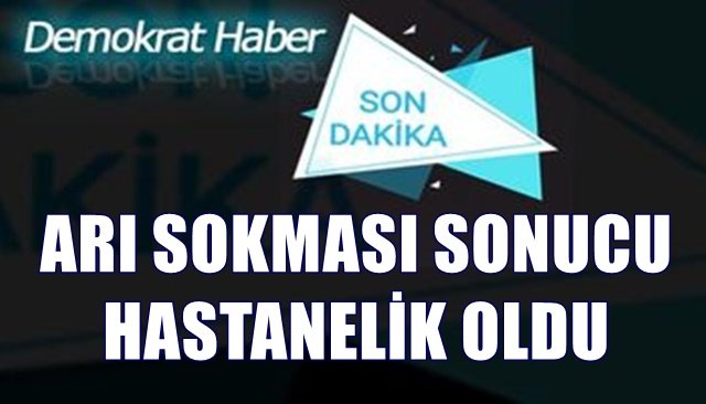 ARI SOKMASI SONUCU HASTANELİK OLDU