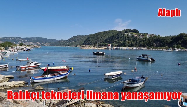 Balıkçı tekneleri limana yanaşamıyor