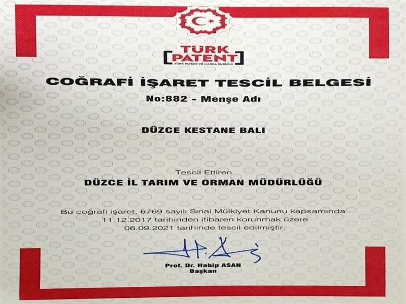 DÜZCE KESTANE BALI COĞRAFİ İŞARET TESCİLİNİ ALDI - 1