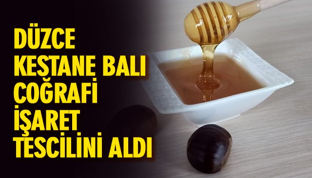 DÜZCE KESTANE BALI COĞRAFİ İŞARET TESCİLİNİ ALDI