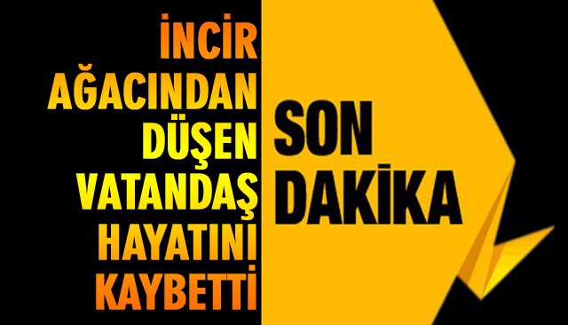 İNCİR AĞACINDAN DÜŞEN VATANDAŞ, HAYATINI KAYBETTİ 