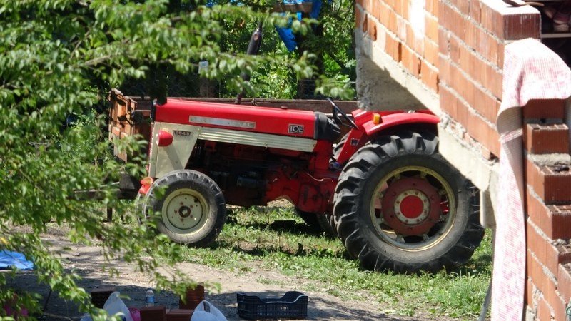 Ormana gömüp duvardaki kan izlerini alçıyla kapatmışlar! - 8