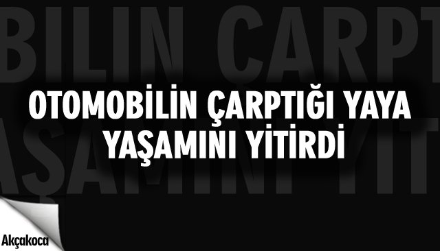 OTOMOBİLİN ÇARPTIĞI YAYA YAŞAMINI YİTİRDİ